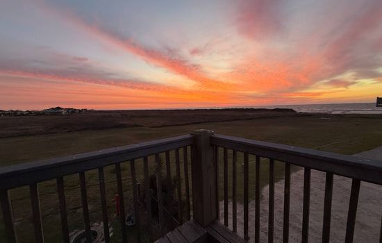 The Sandpiper's Feather