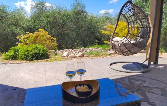 In einem spektakulären Olivenhain in einer ruhig