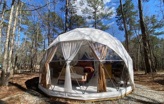 Forest Dome Near Lake Oconee | Artistic Design