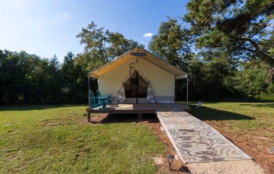 Welcome to Mom Mollie