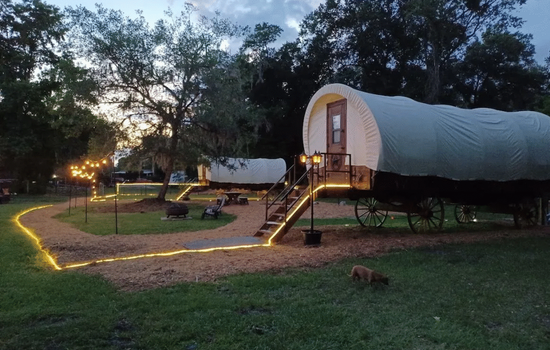 Highland Cow Glamping in a Cozy King Bed Wagon