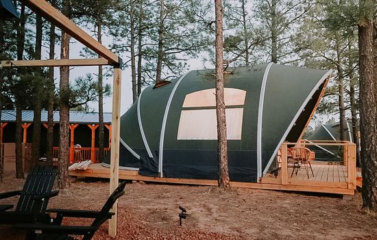 Cold Nights, Clear Skies - Mountain Escape