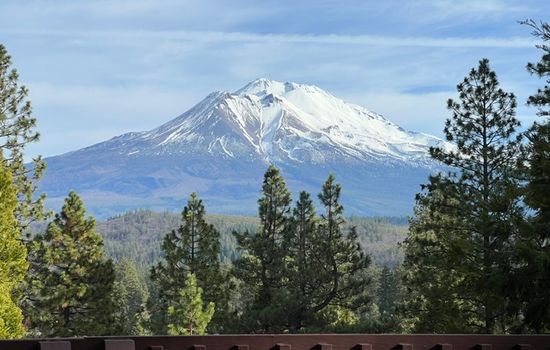 Mt. Shasta Views 