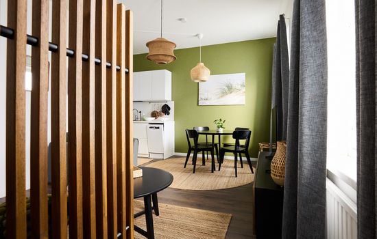 SHILLINKI HOSTING - Puutarhakatu 9b [KUVAKAS] AAR60008.jpg