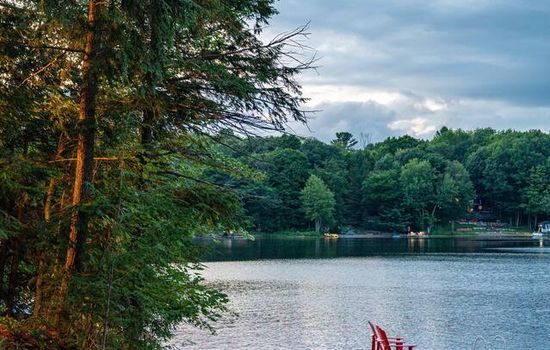 Starlink • Firepit • Muskoka Retreat w/ Games Room