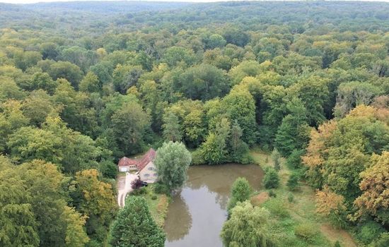 Gite en forêt