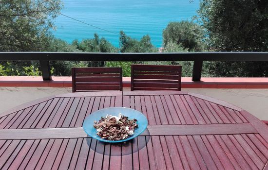 Appartement mit Garten, Terrasse und Grill