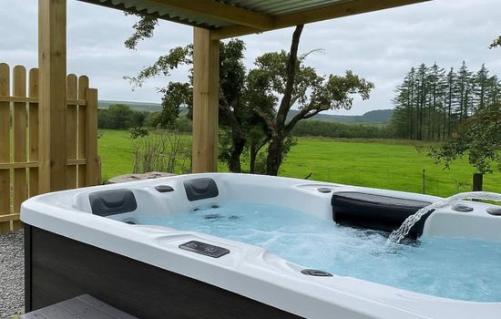 The Truck with private hot tub - Forest View