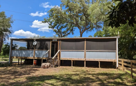 Highland Cow Sanctuary Farmhouse Stay