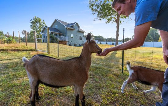 The Goat House | Waterfront | Hottub | Stargazing