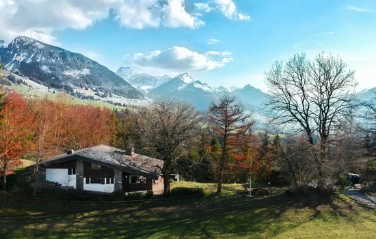 Chalet Halteweidli