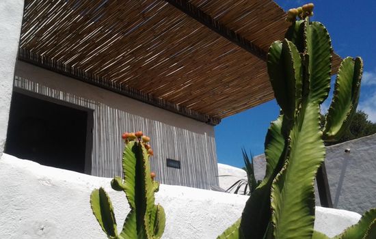 Traditionelles Haus El Vaixell - Terrassen mit Aussicht