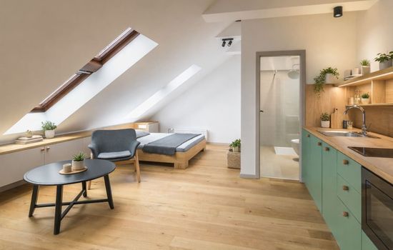 Villa Šanca - Apartment 502