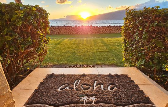 Your Hawaiian adventure begins here—Aloha and welcome to paradise!