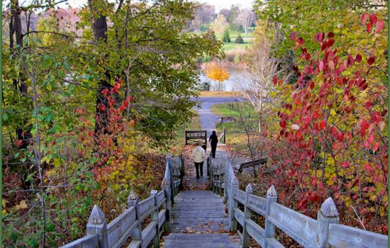 Just 8 minutes away, Springbank Park offers scenic walking trails, beautiful gardens, and peaceful spots to relax. A perfect destination for a stroll or a picnic!