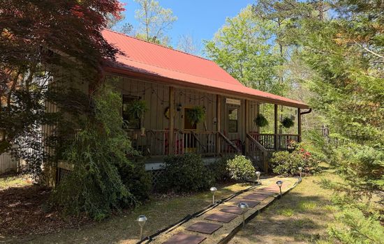 A true outdoor setting where the forest feels like part of the stay.