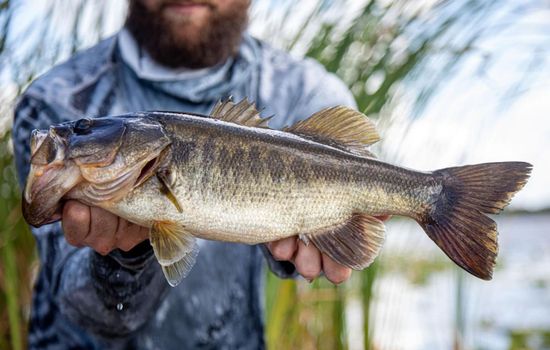 Are you going to be catching the next trophy fish?
