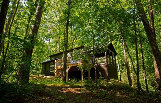 The East Fork Cottage is nestled in the woods next to the East Fork of the Little River. Easy access to the water where you can float, swim, or kayak out. There is also a walking trail on site along the water.