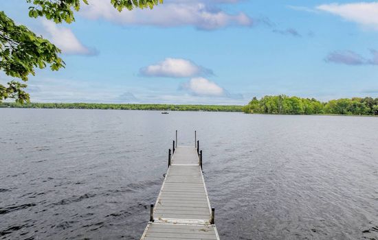 Loon Lookout