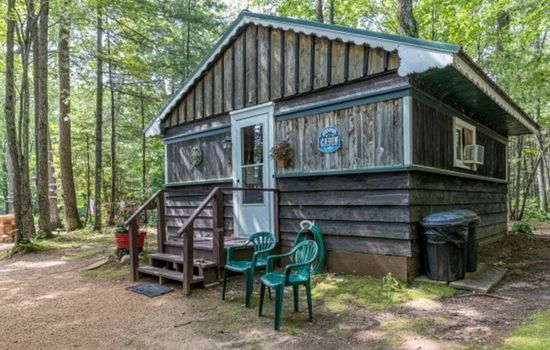 Cozy Cabin on Horsehead Lake Cabin #1