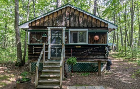 Woodland Cabin on Horsehead Lake