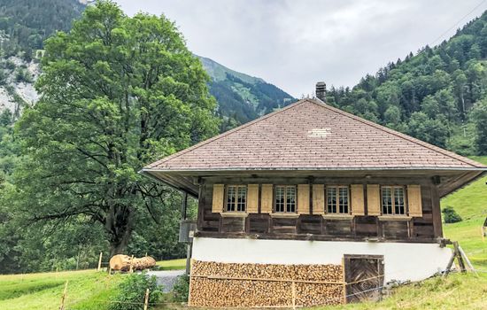 House