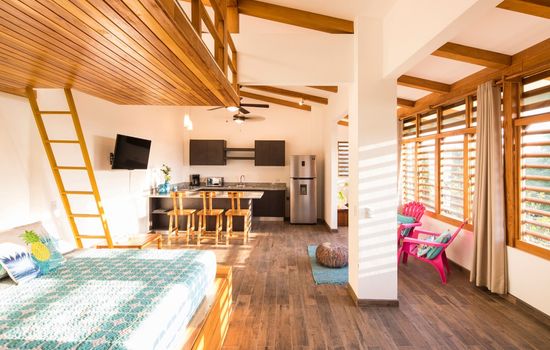 Studio Tropical nearby the beach | Terrace | Pool