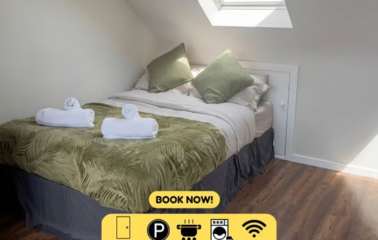 Untitled design (1).png