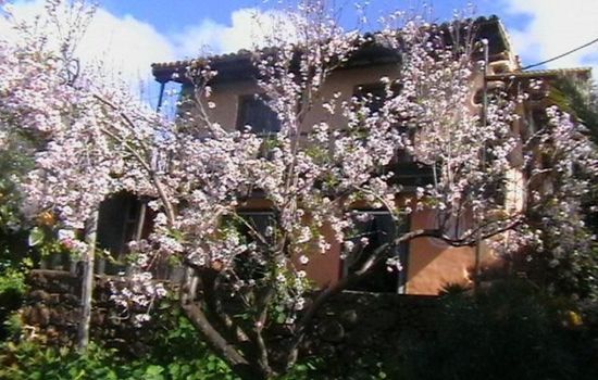 Bio Finca Los Hondos