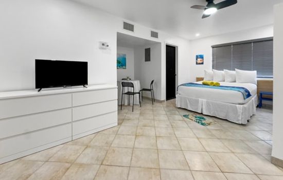 Bright Queen Studio + Kitchen | Quiet