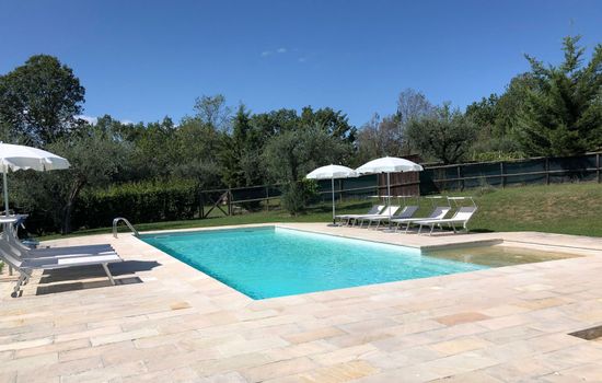 Grünes Appartement