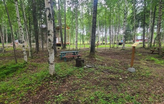 Houston Grass Station: Campsite #40