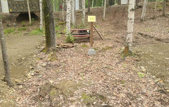Houston Grass Station Campsite #16