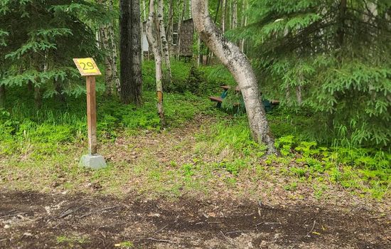 Houston Grass Station: Campsite #29