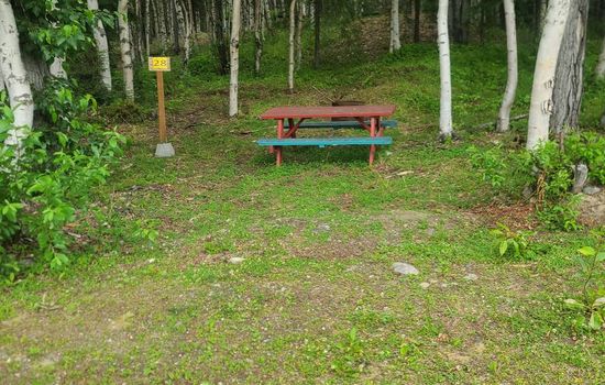 Houston Grass Station: Campsite #28