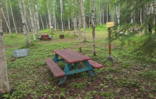 Houston Grass Station: Campsite #48