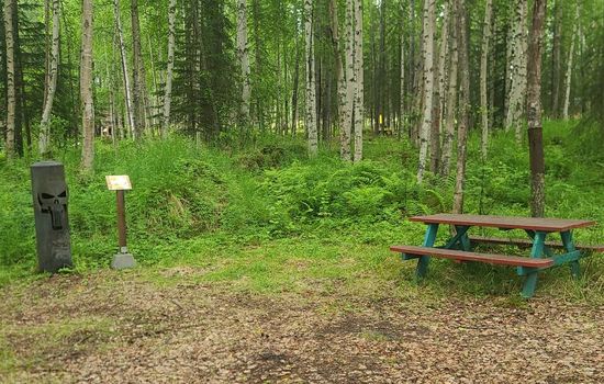 Houston Grass Station: Campsite #13
