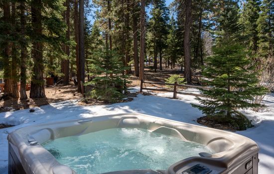 LUXE Castle Glen, Ski Slope Views, Spa/Game Room
