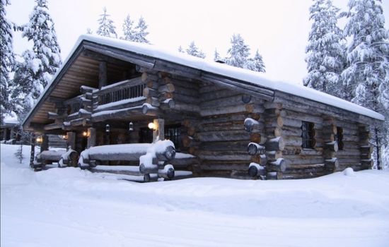 Villa Keisarinrinne 1 | Unique Log Villa for Groups