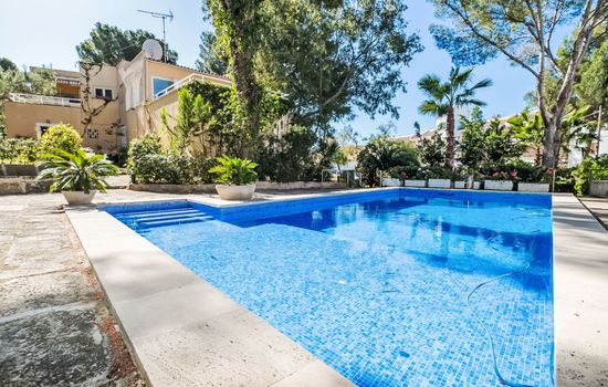 Pool Outdoor