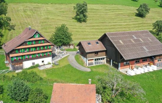 Henggeler