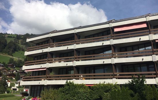 Neuschwändi 5 Appartement/Fewo 4-Bettwohnung