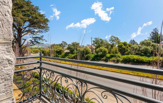 This is the private balcony view from the room you will be renting featuring charming ironwork and lush scenery.