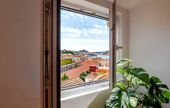 Large windows flood the living area with sunlight throughout the day.