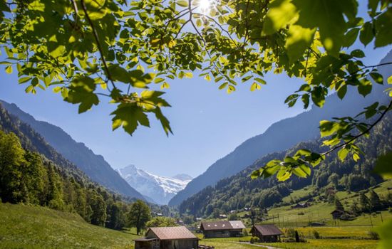 Haus bei Grindelwald