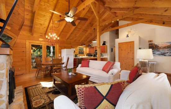 Mountain view cabin minutes from the Nolichucky