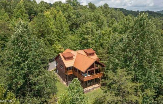 Private Pickleball/B-Ball Court! Hot Tub + Arcade