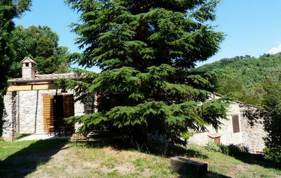 Molino Quadri 7