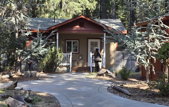 Shasta Cottage, A romantic get-away in Mt. Shasta.