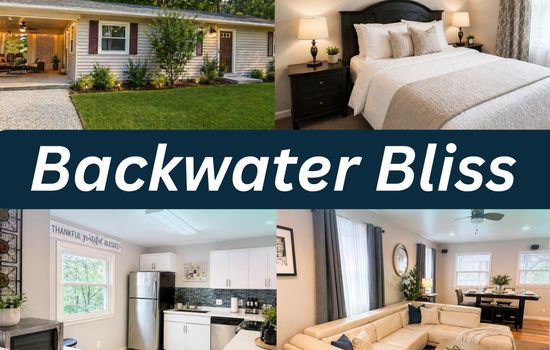 BackwaterBlissCover_photo (2).png